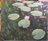 Les Nymphéas 4 - 73x61 - Acrylique