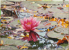 Nymphéas 3 - 29x20 - Huile sur toile collée sur bois